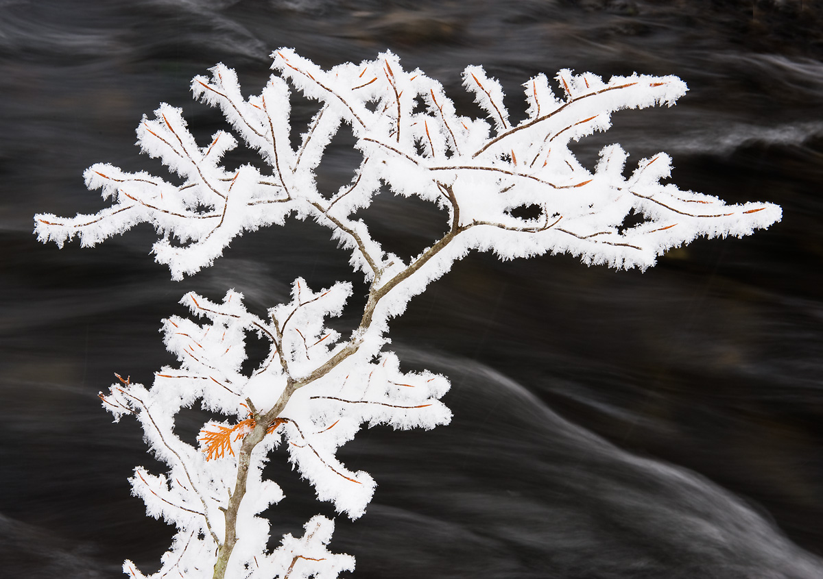 Frosted