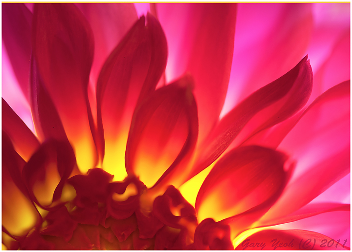 Solar flare