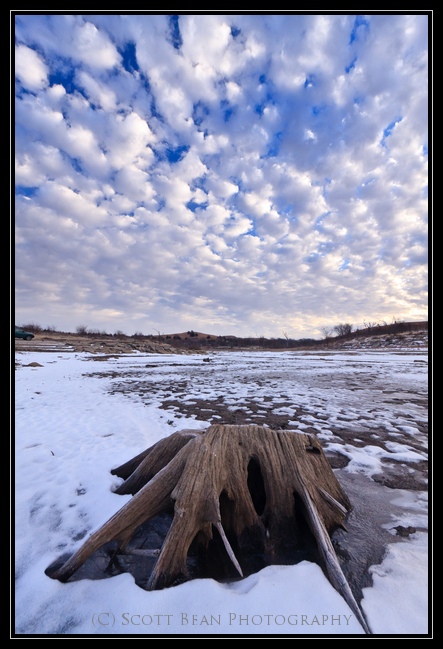 Stumped