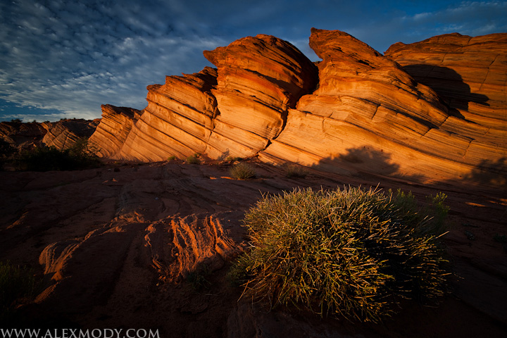 Navajo Wave at sunset