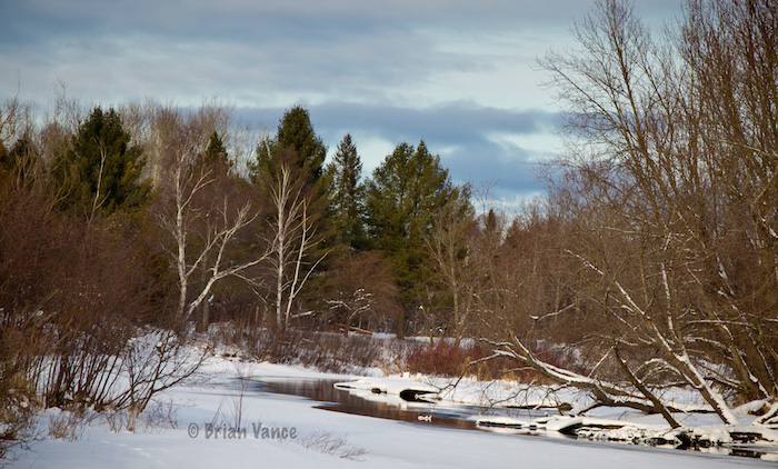 Upper Tahquamenon