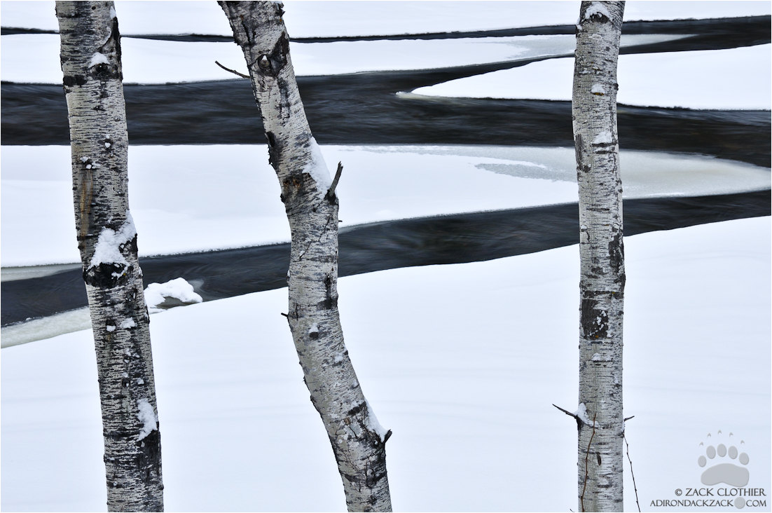 River Art