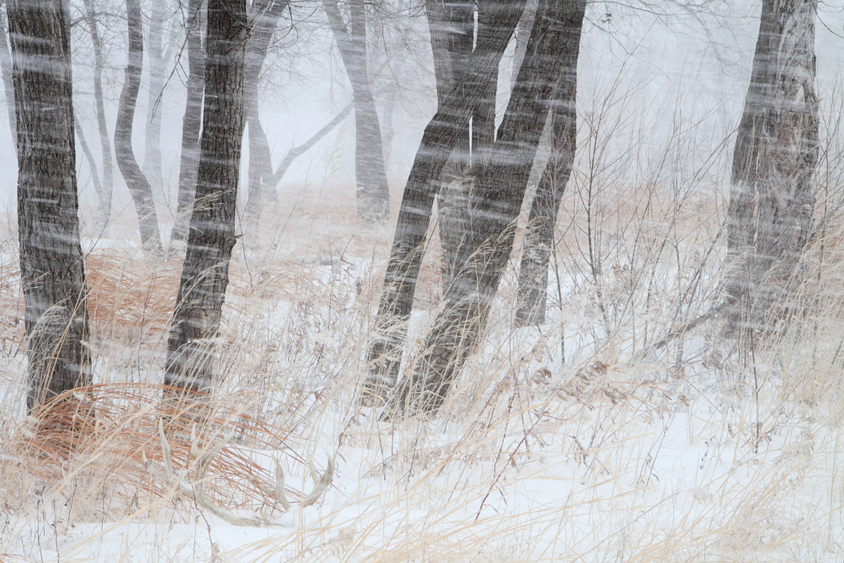 Tuesday's snow