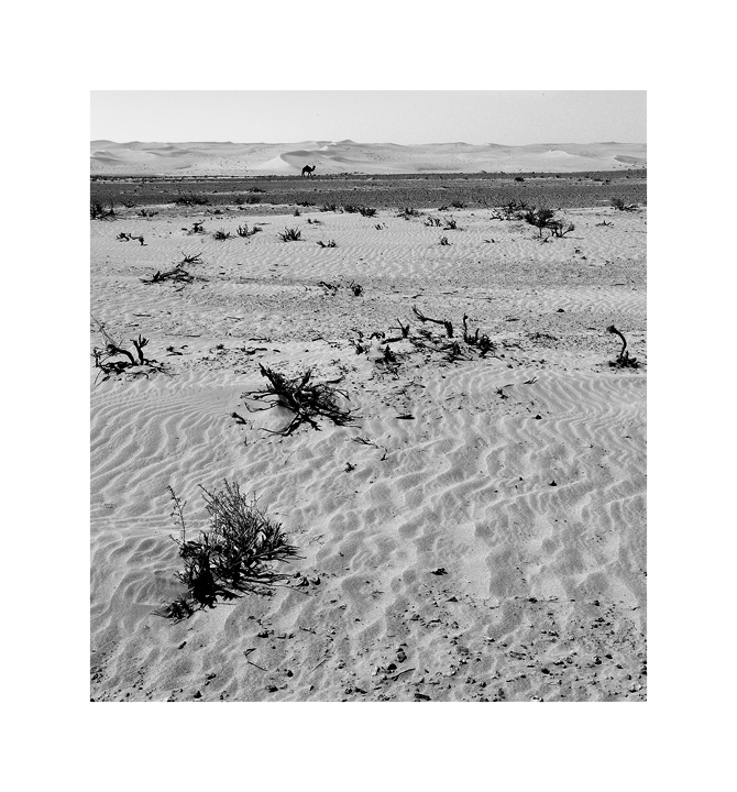 Desert Crossing