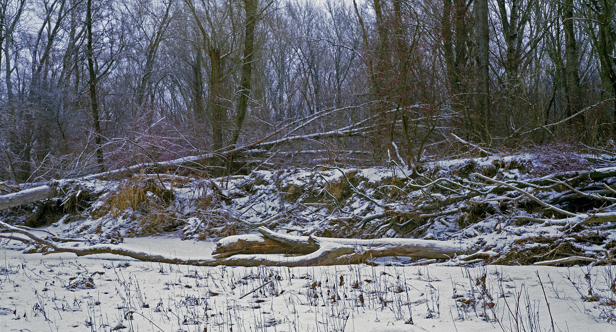 After the Flood