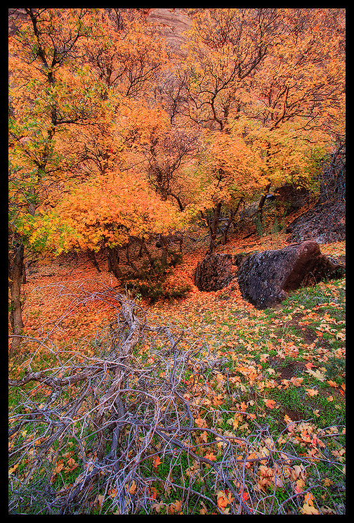 Hidden Zion