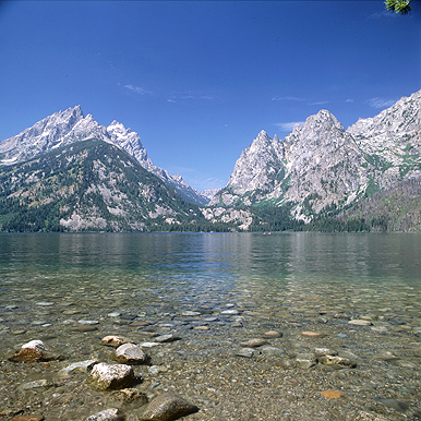 " Jenny Lake - Effect "