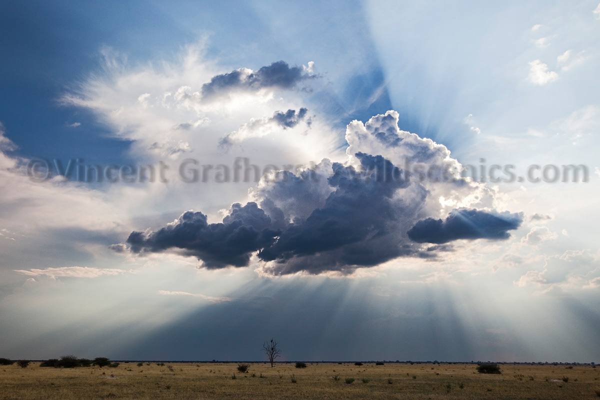 The Cloud