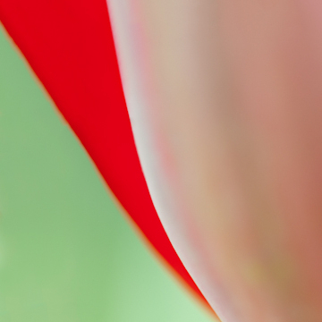 Tulip Abstracts