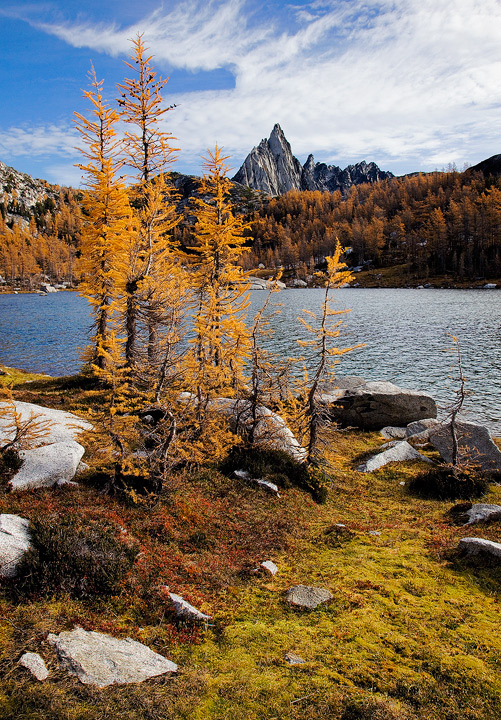 The Enchantments