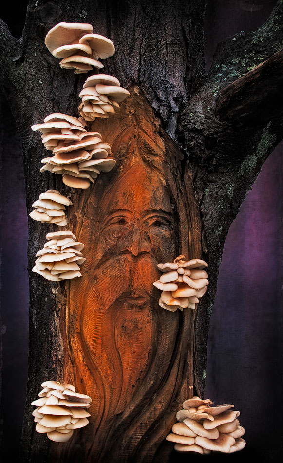 Green Man - Trees theme