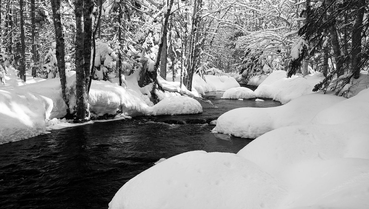 Winter stream