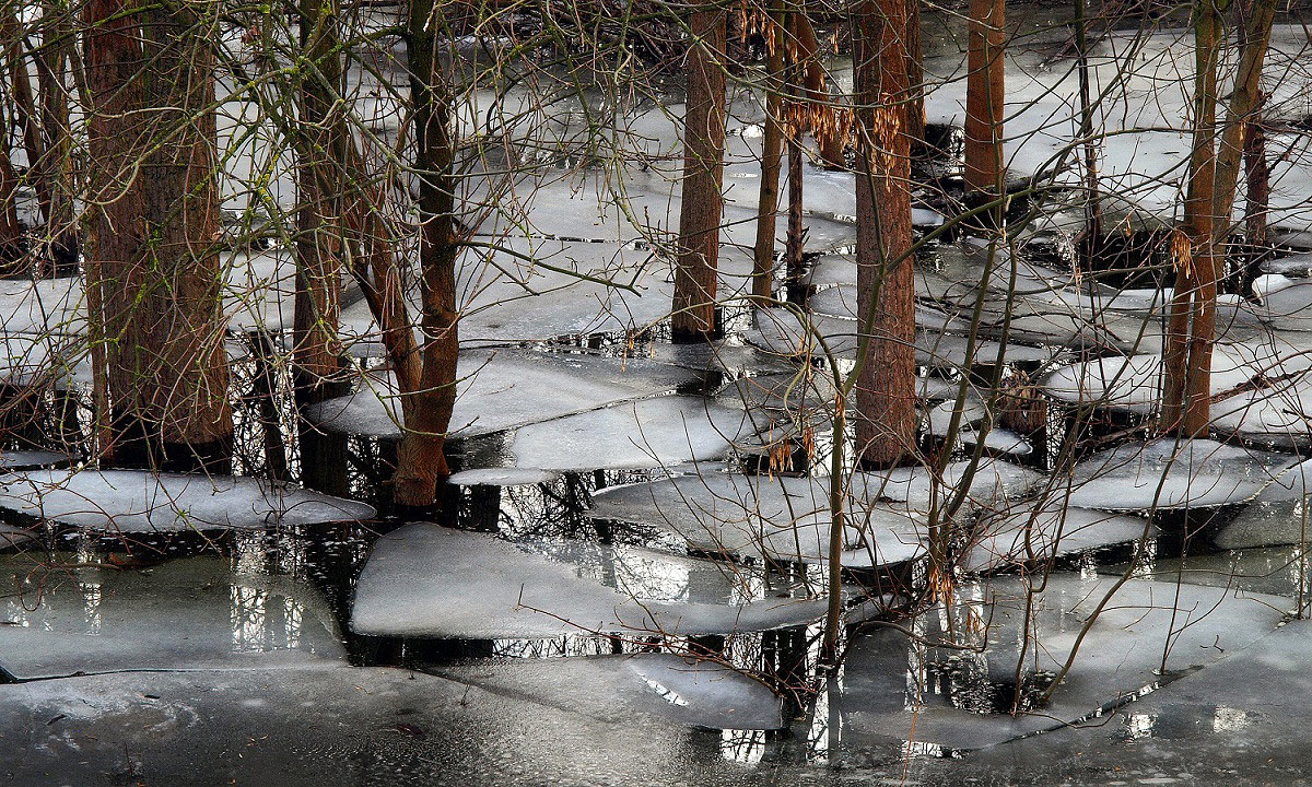 Frozen Flooding