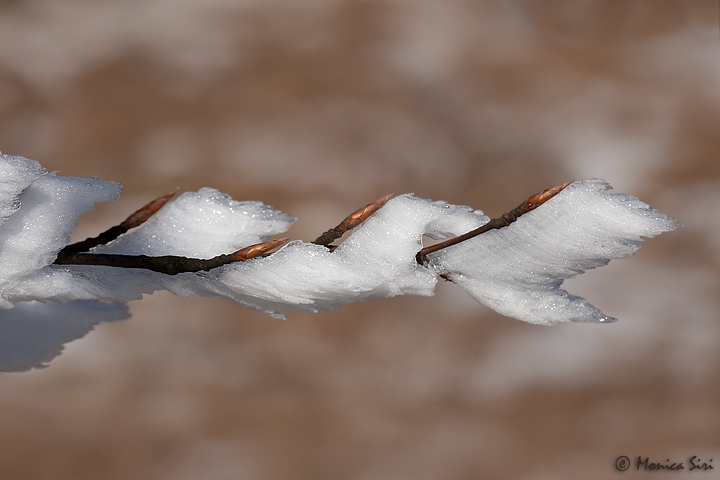 Winter embrace - Theme