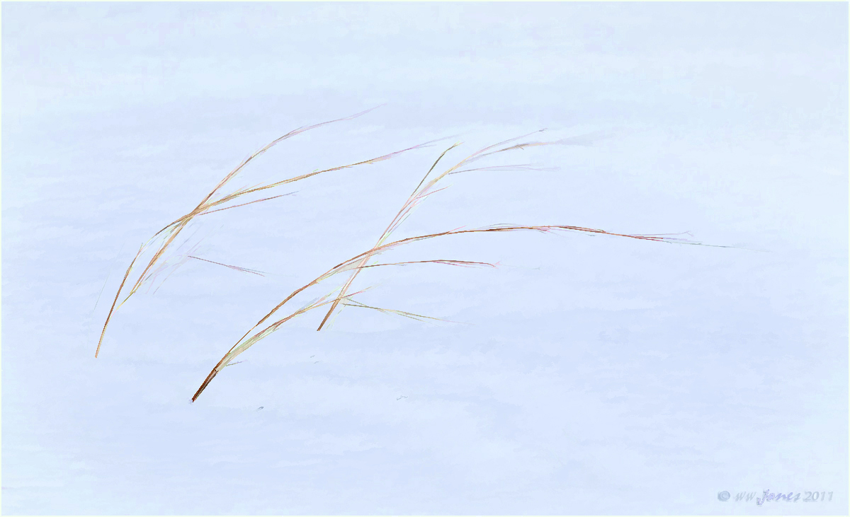 Westwind -- Watercolor
