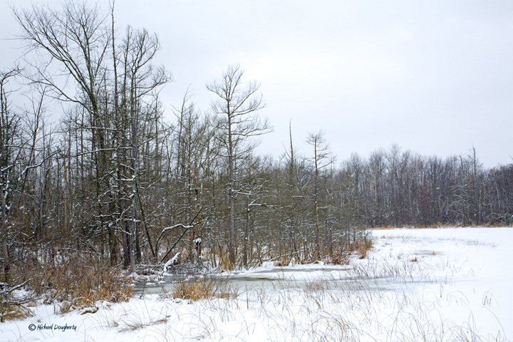 Michigan pond in winter