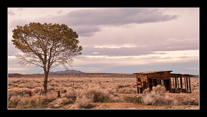 Mojave Desert, CA