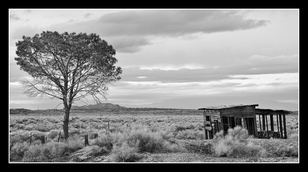 Mojave Desert, CA