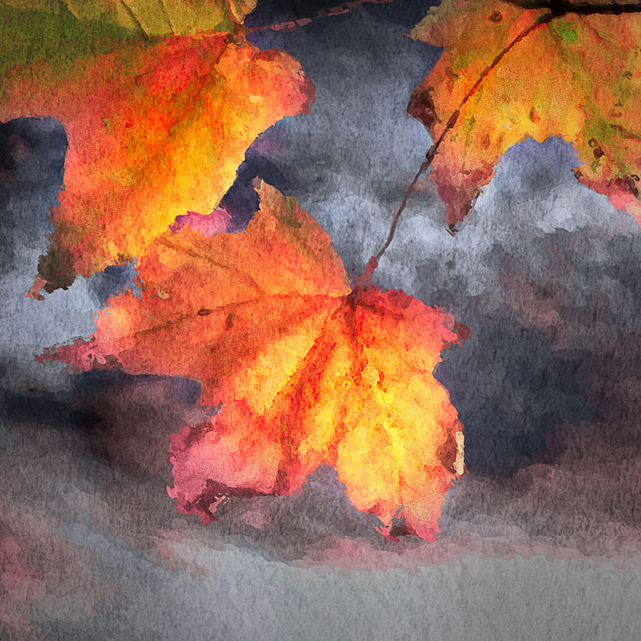Autumn Leaves