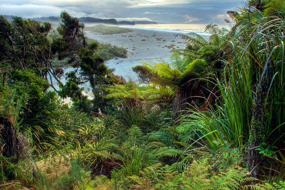Pristine coast