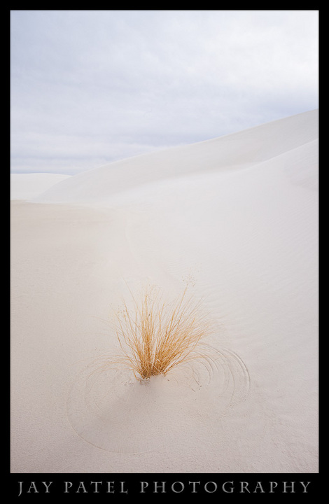 Crop Circles