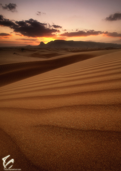 Melody of Desert
