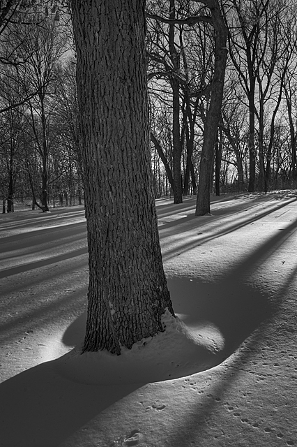A winter's tale
