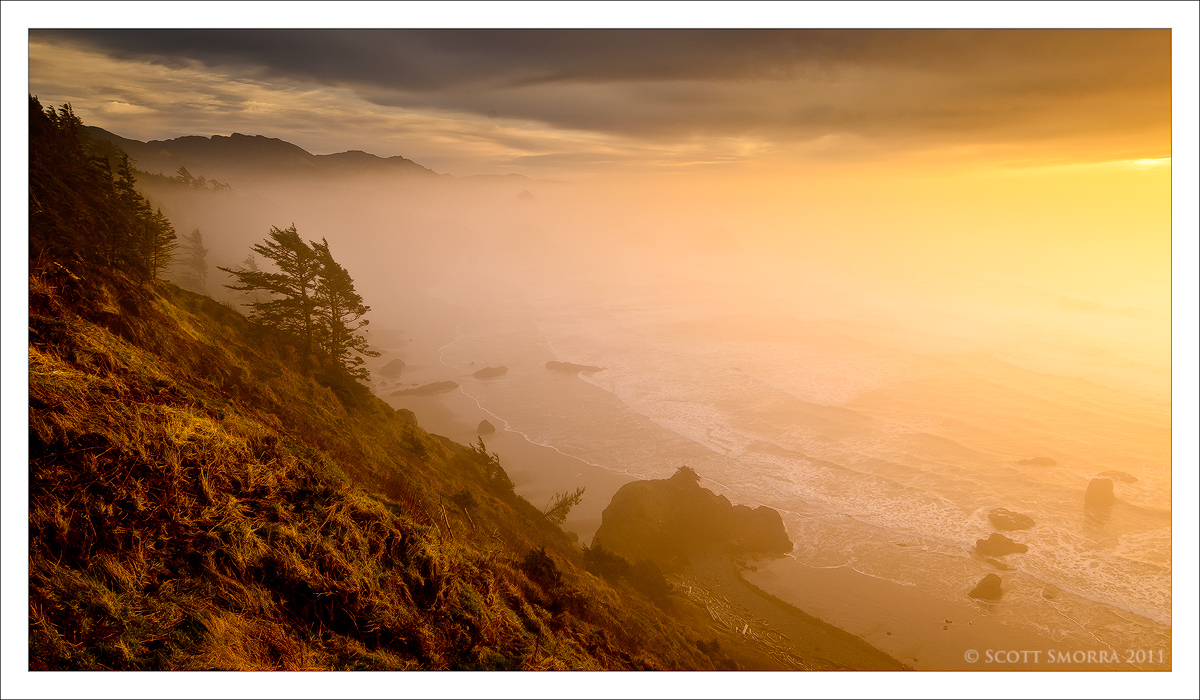 Coastal Dream