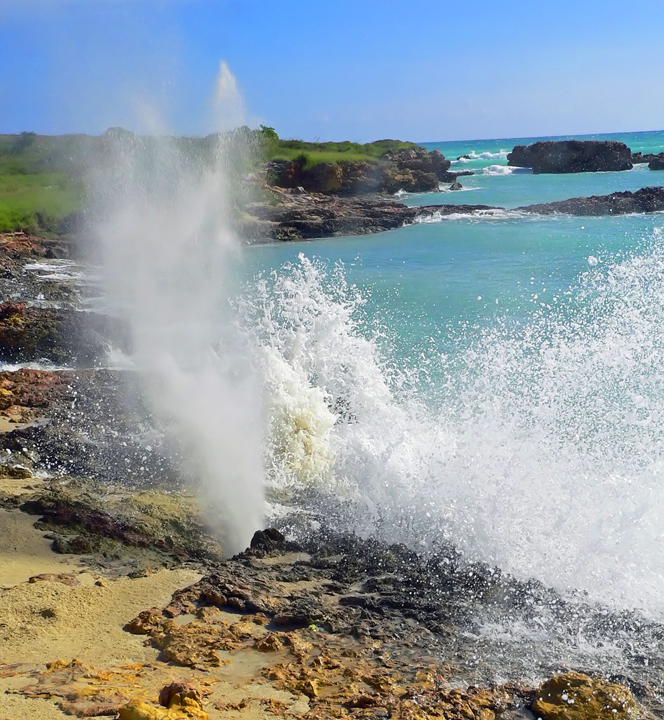Blow Hole + Repost