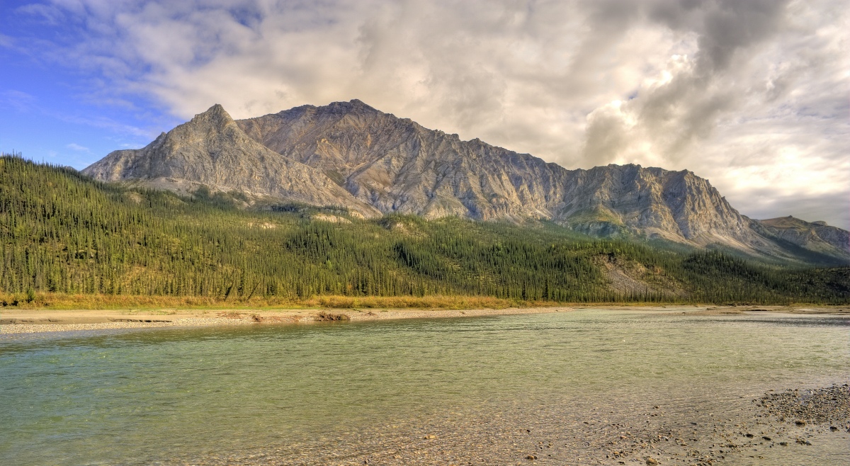 Bettles River Majesty