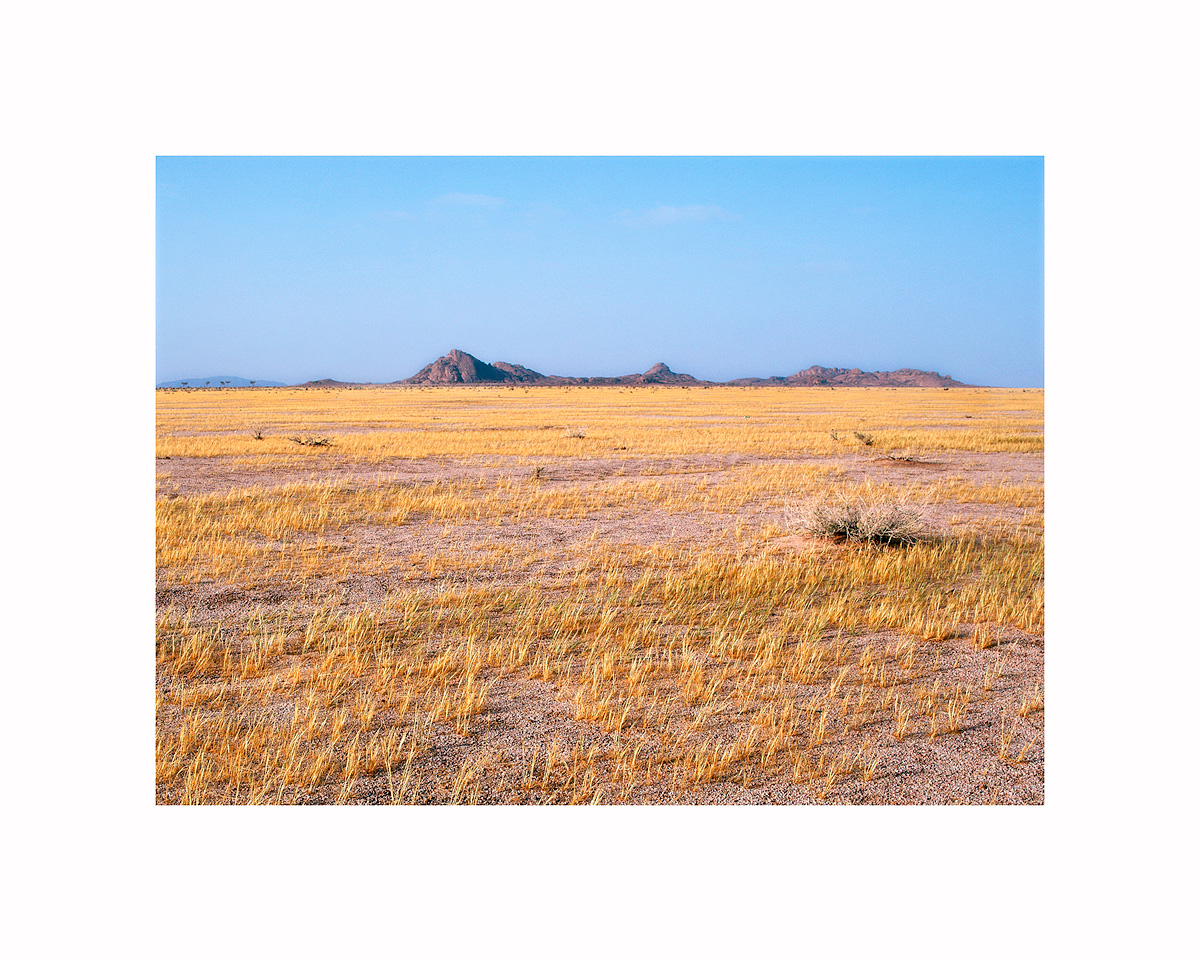Open Land