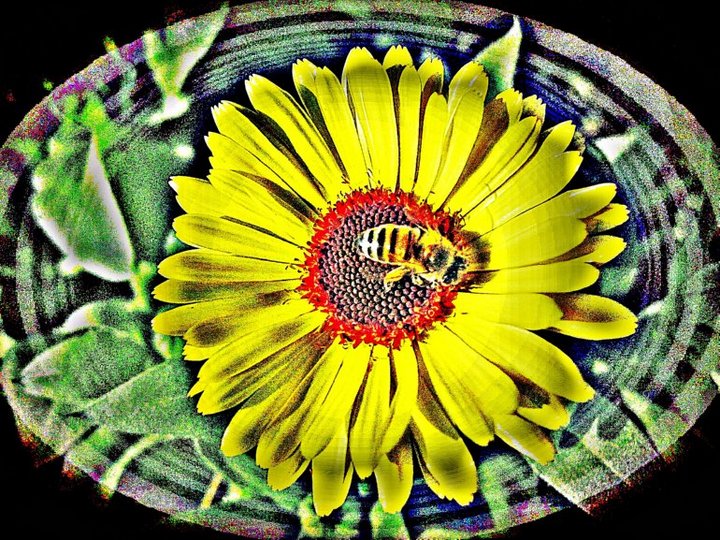 Bee and Bloom Cameo