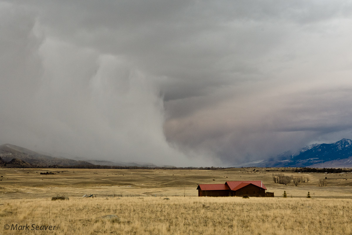 Snow Squall