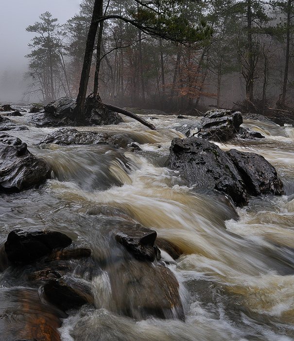 After The Flood