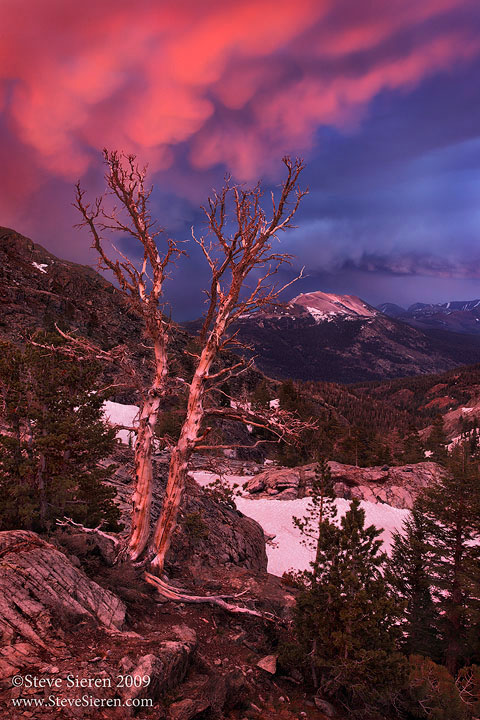 Wild Light on Mammoth 