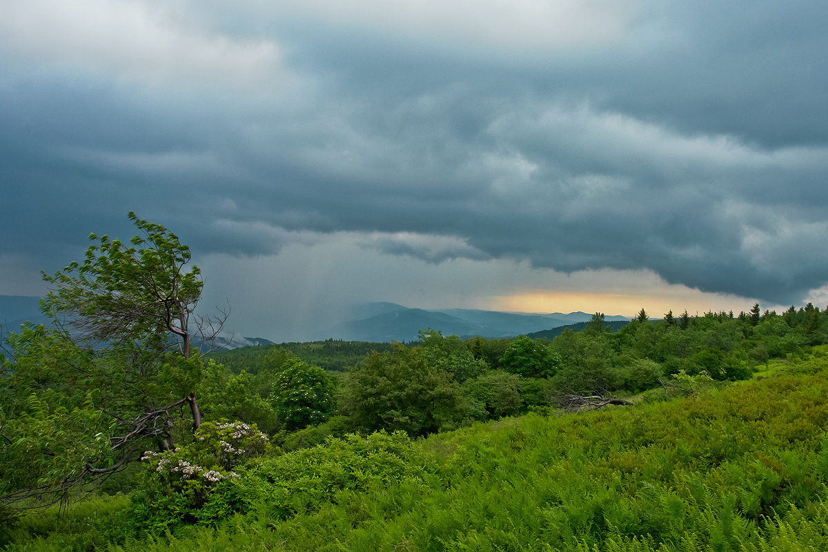 Roaring Plains storm