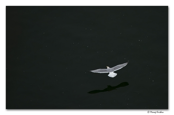 The Voyager