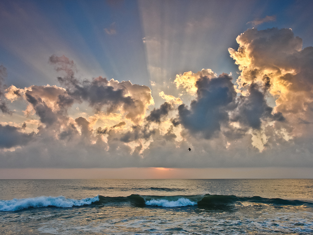 Dawn Flight