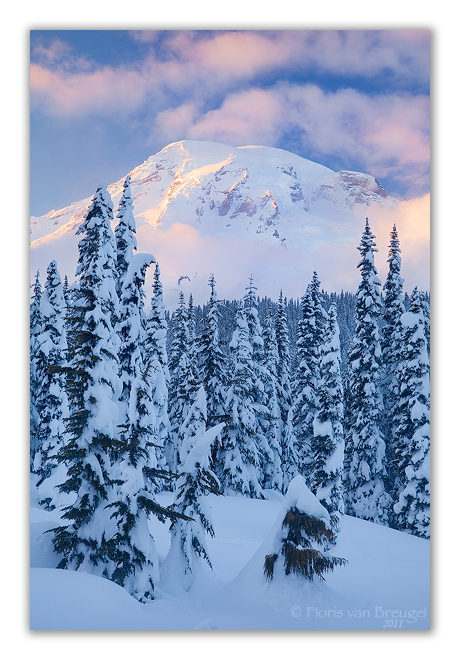Winter in Paradise