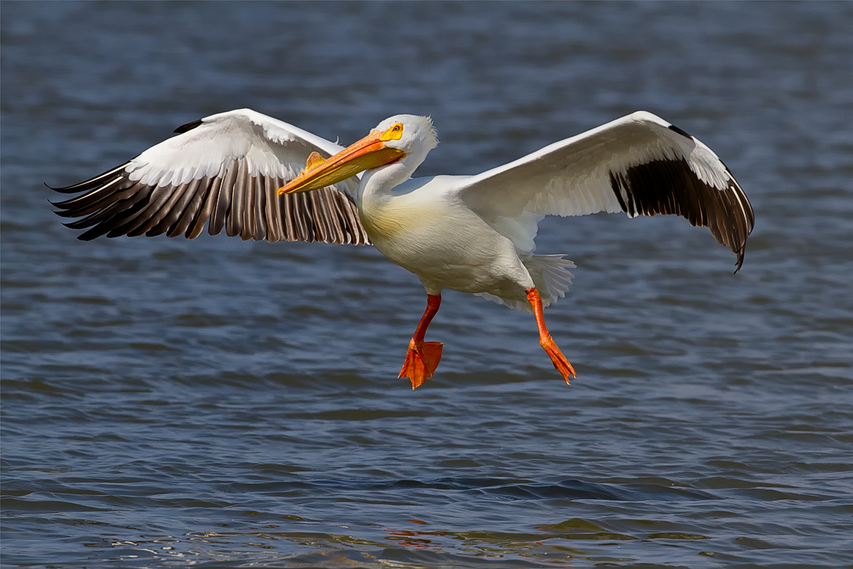 Landing Wheels Down