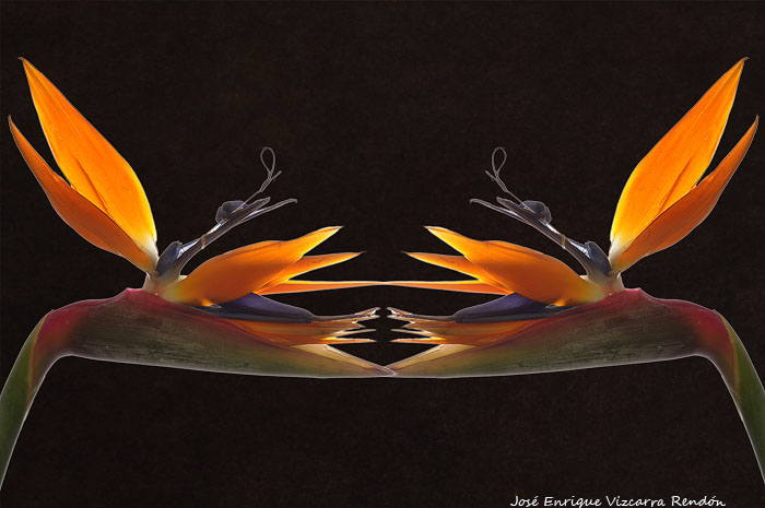 symmetry