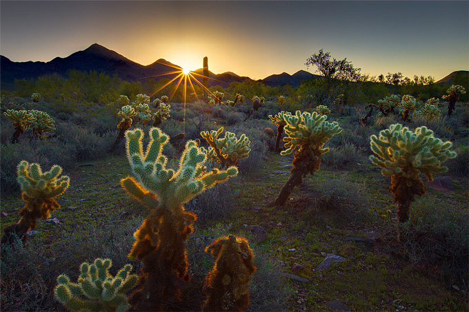 McDowell Mtn Sunrise