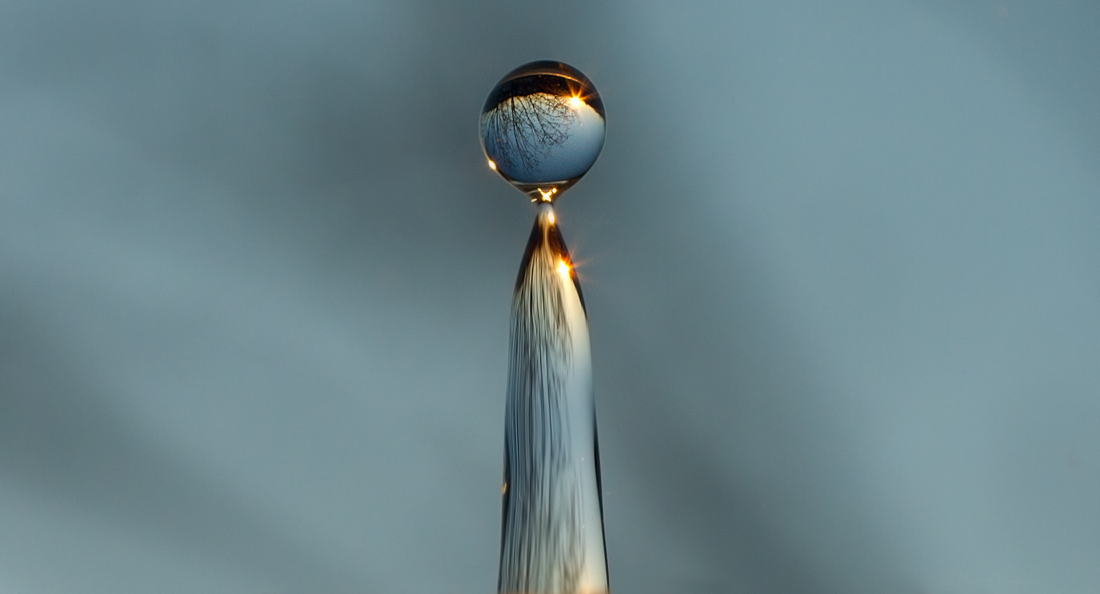 World in a drop