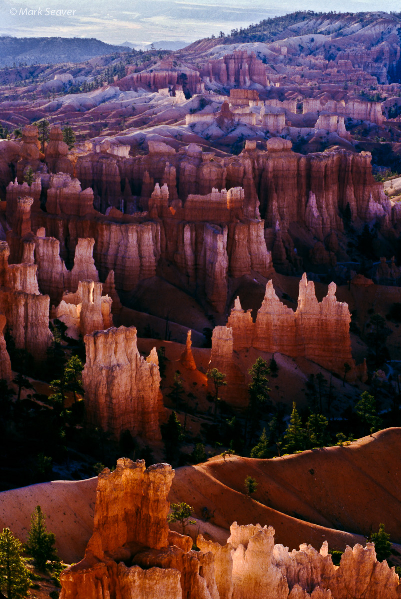 Backlit Bryce
