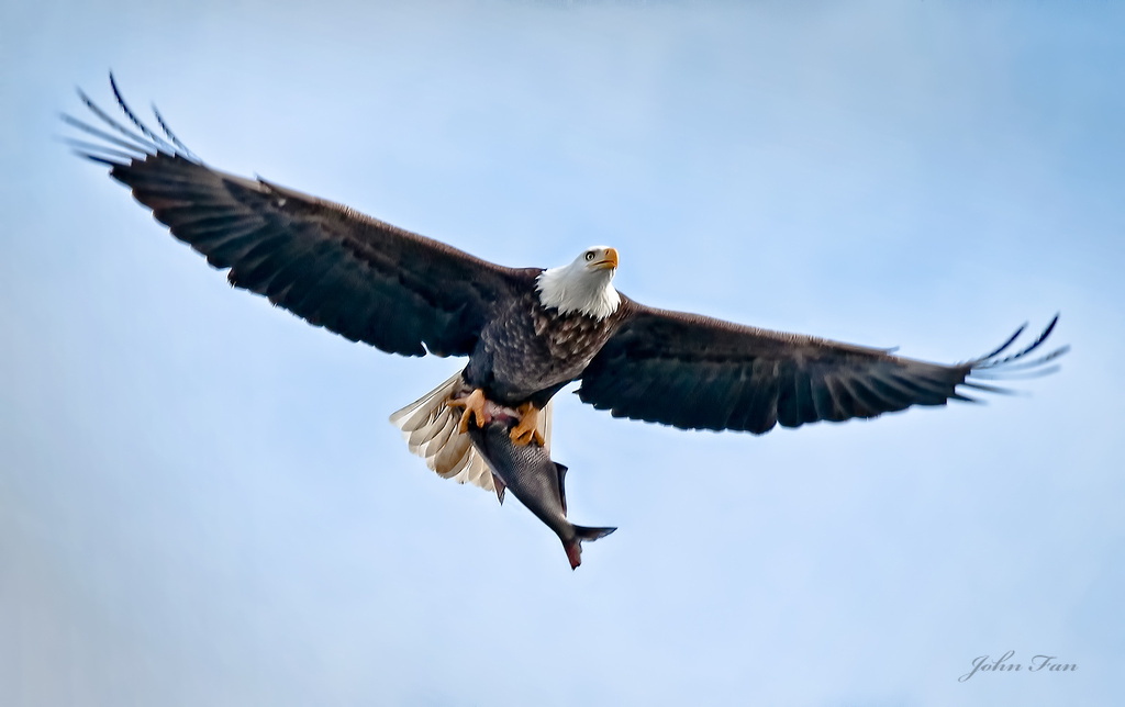Big Catch