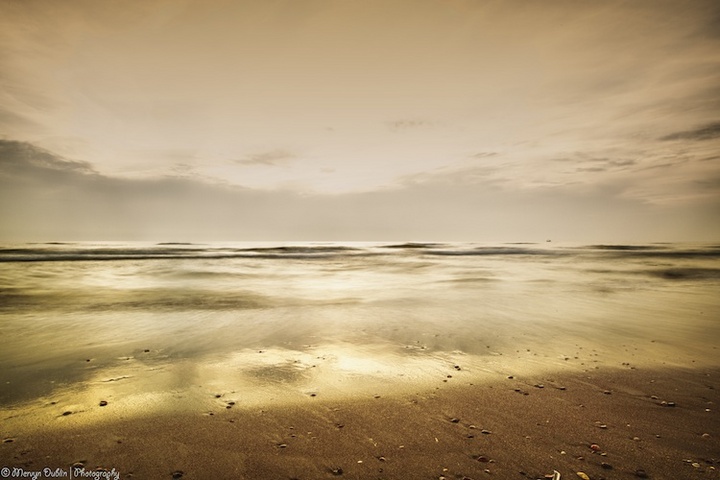When the sea Glows!