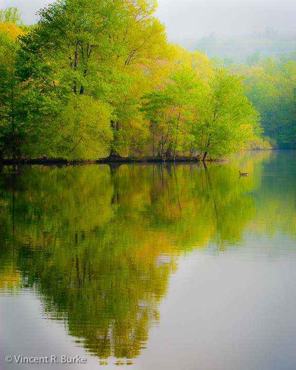 Spring Reflection