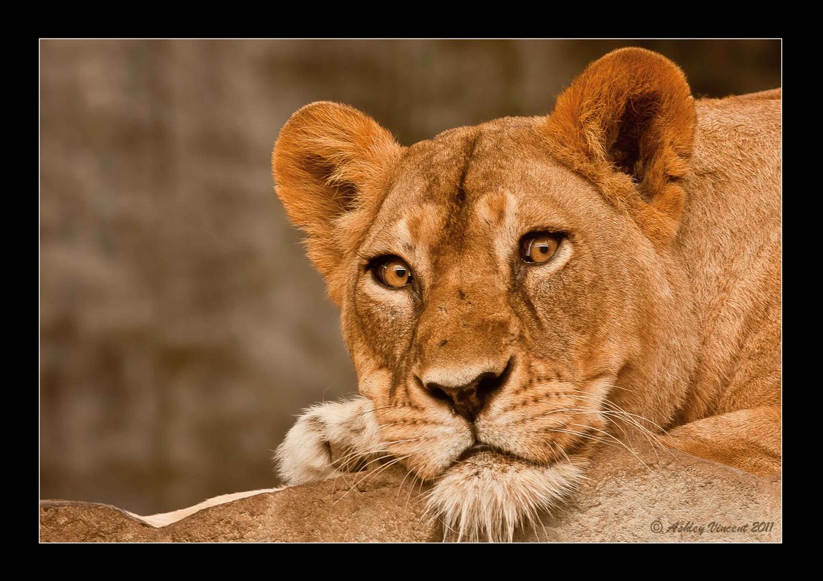 Her Majesty, The Queen