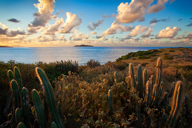 The Golden Hour
