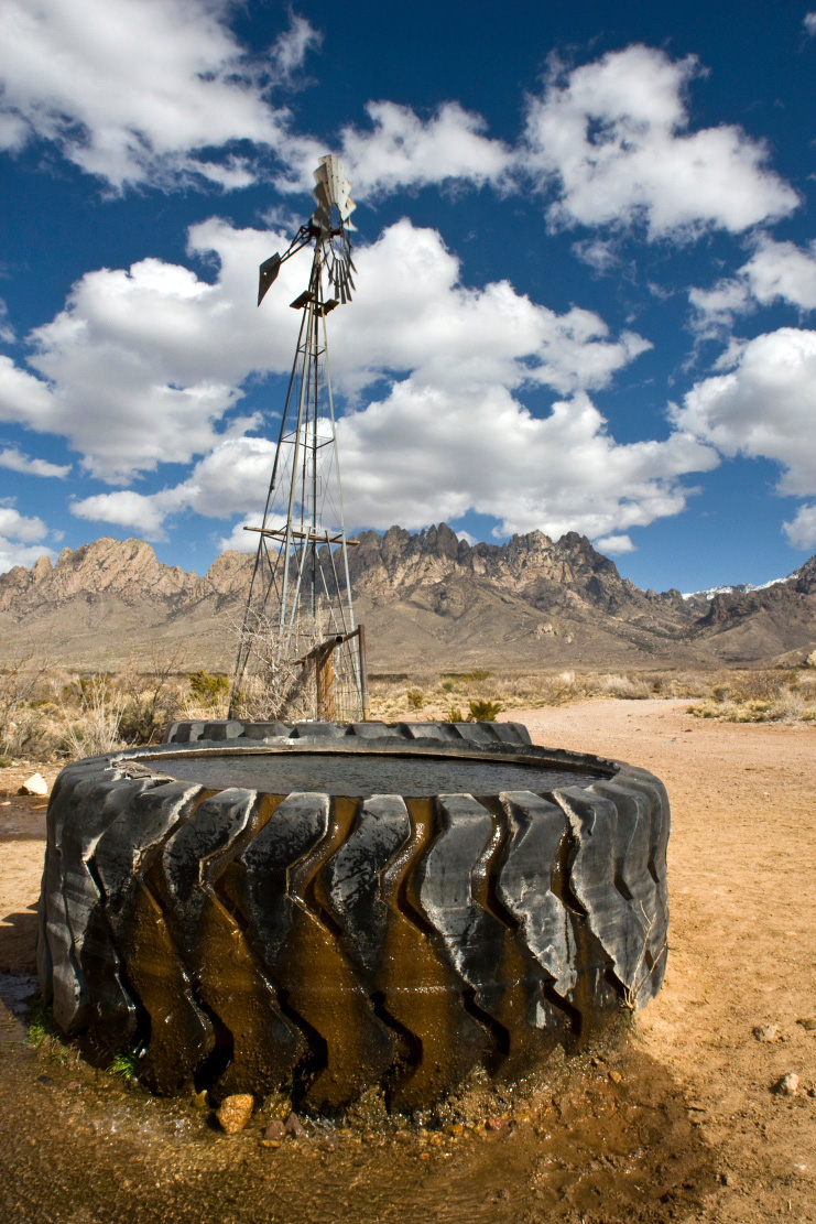 Las Cruces Backyards